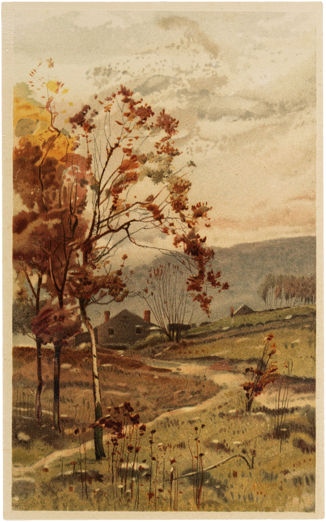 Fall scene