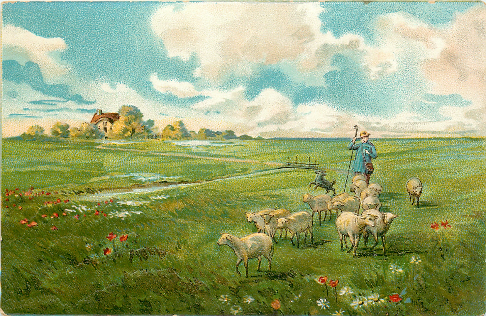 Summer scene