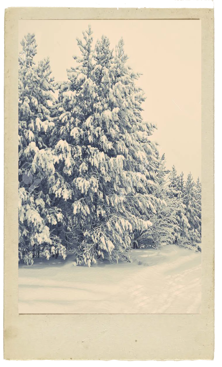 Winter scene