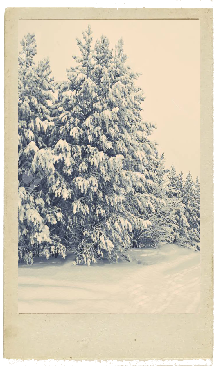 Winter scene