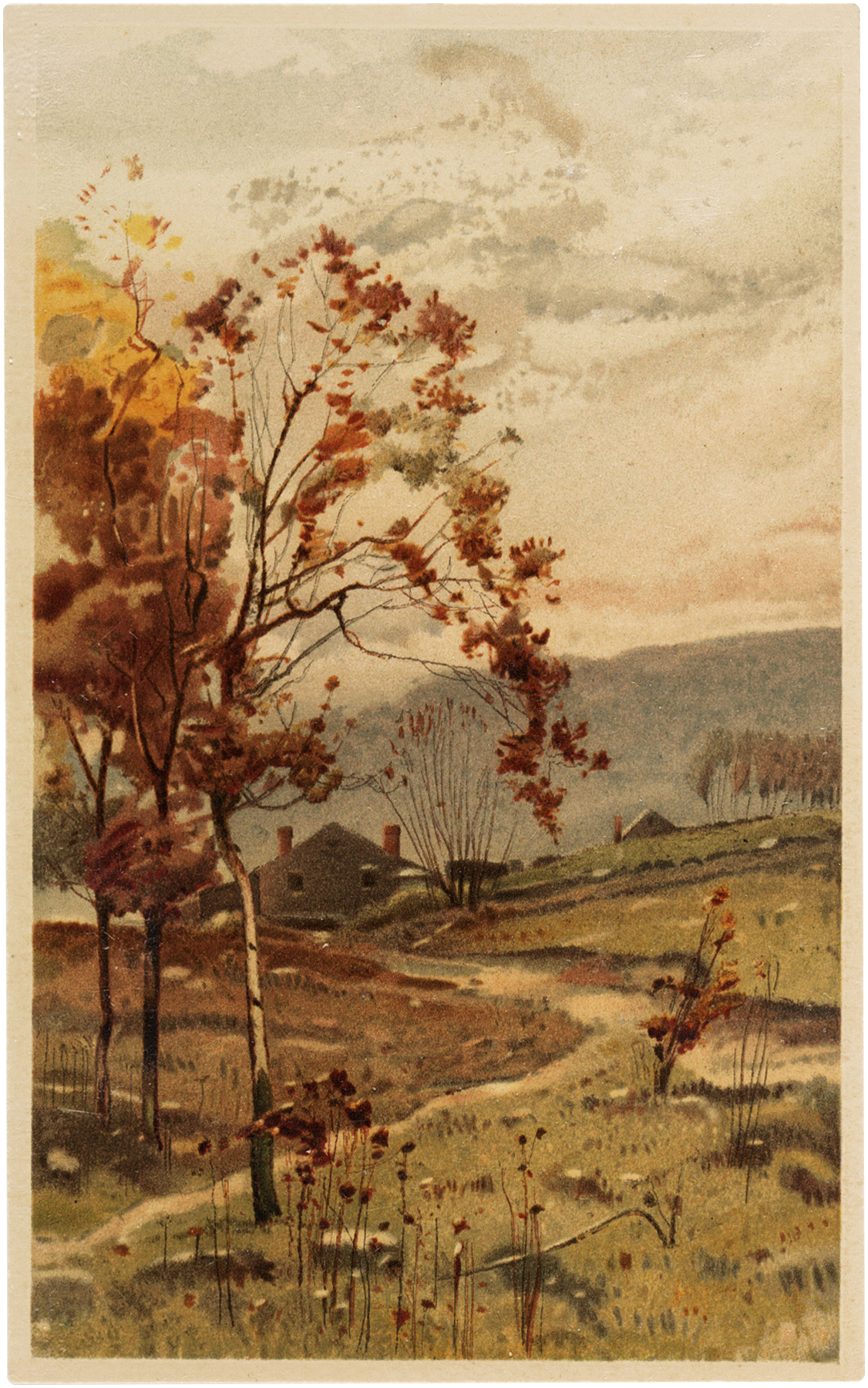 Fall scene
