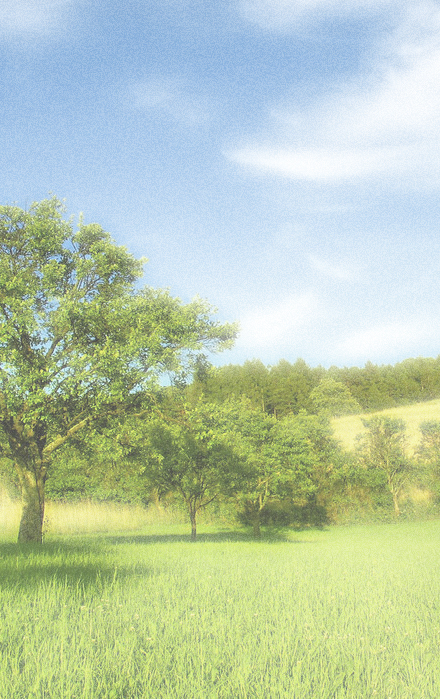 Summer scene