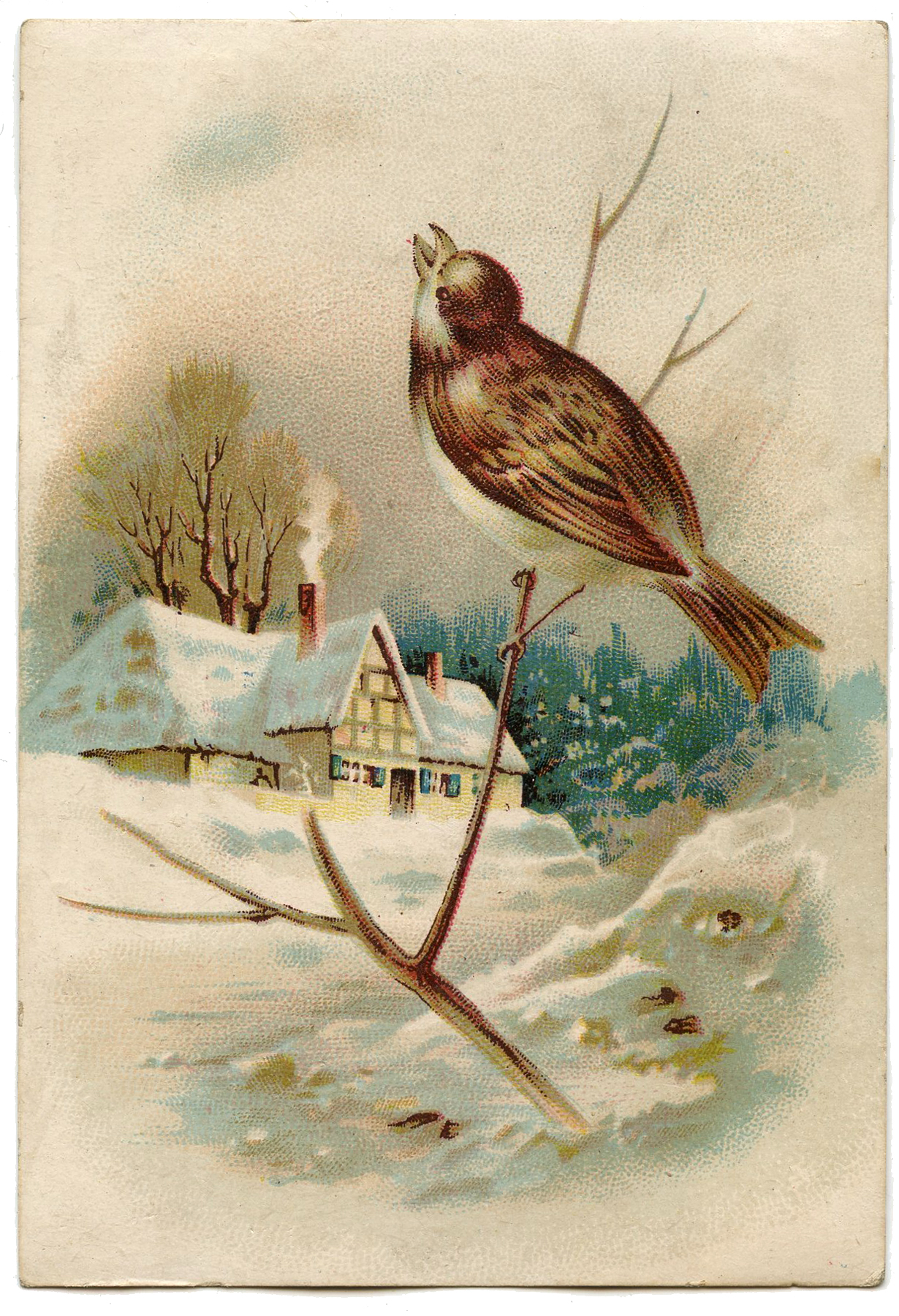 Winter scene